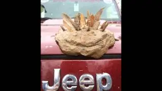 MoCoJeeps