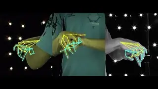 InterHand2.6M (3D Interacting Hand Pose Estimation. ECCV 2020)