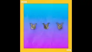 shikoshib - Шлёпа 10 ЧАСОВ