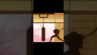 Shadow Fight 2/