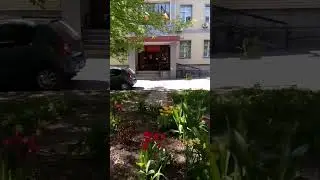 Пристав взял и окончил ИП алименты #адвокат , #алименты