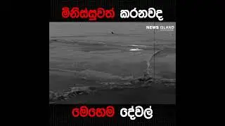 බල්ලෙක් වුනත් වීරයෙක්...