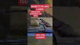 Ano ang Lesson sa paghuli ng lawin sa isda?