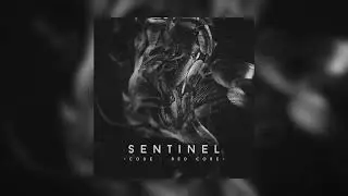 Code : Red Core - Sentinel