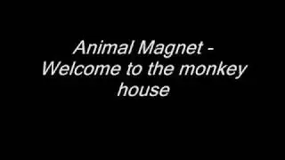 Animal Magnet - Welcome to the monkey house