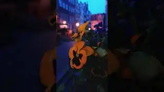 Вечер в Гданьске