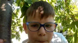 Почти 10 часов Тима кушает