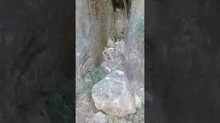 бехтарин манзара