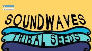 Tribal Seeds - Soundwaves (ft. Eric Rachmany of Rebelution) [OFFICIAL AUDIO]