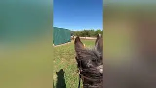 Running I Ranch - 2024 Equine Trails Sports