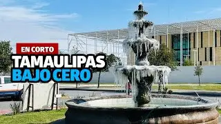 Tamaulipas bajo cero