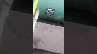 щуренок на Северском донце
