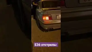 отстрелы е36 