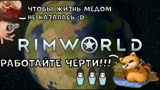 Строю поселение наслаждаюсь жизнью - Rimworld