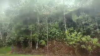 Way to visit another Project