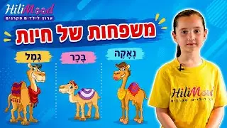 הילימוד - משפחות של חיות | מיוחד לילדים