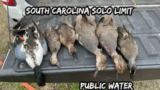 South Carolina Lottery Hunt (SOLO LIMIT)