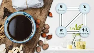 DISTURBANCE OF RELATIONSHIP AMONG QI, BLOOD, BODY FLUIDS