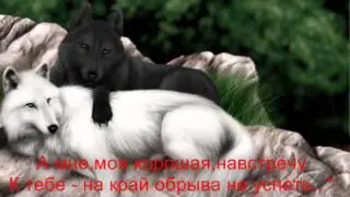 Любовь волков