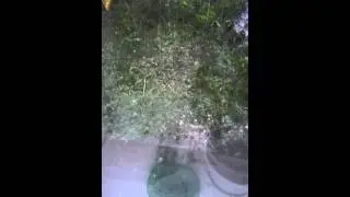 Град мос.обл. 23.05.13