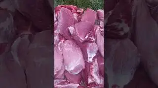 Peka za sušenje