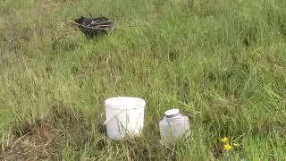 Малыш хочет на охоту😁