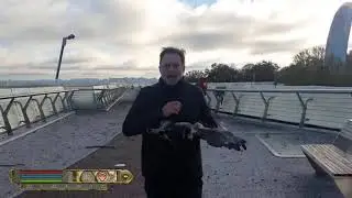 Oblivion[ukraine] situation