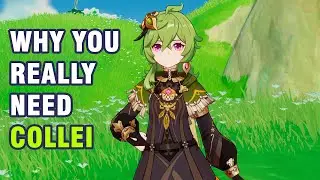 Why you really need Collei Sumeru【Genshin Impact】