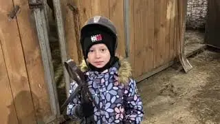 моя конюшня старая