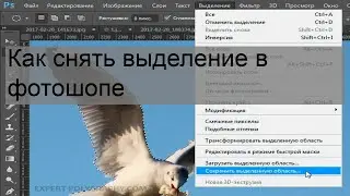 Как снять выделение в фотошопе