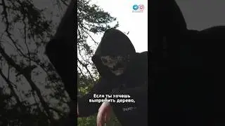 23 августа 2024 г.