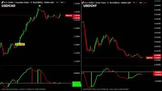 USDCAD & USDCHF FOREX LIVE EDUCATIONAL CHART ( CAD, CHF )
