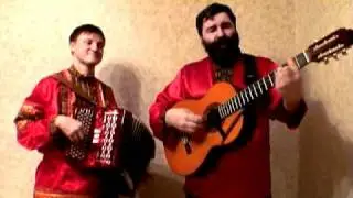 Мохнатый шмель