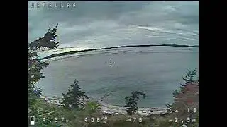 First Time Diving the Bluff