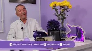 Glándulas anales de los perros