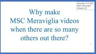 Why Am I Making Cruise Videos?