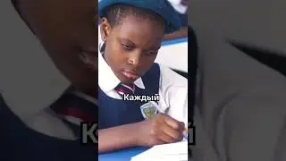 🧠 Что такое когнитивные способности человека?🎓