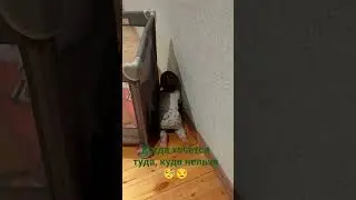 когда хочется туда, куда нельзя 😀 