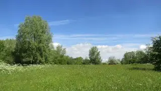 Oostkamp Moerbrugge – Lentewandelen in de Warandeputten door Catherine Boone
