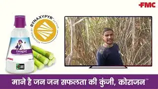 Coragen® Insecticide for Sugarcane | UP Farmers 