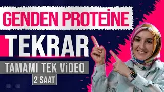 11) Genden Proteine FULL TEKRAR | 12. Sınıf Biyoloji | AYT Biyoloji Konu Anlatımı 11