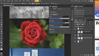 Adjustments – Part 2 // Adding Saturation