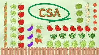 La tua CSA