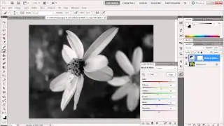 013 Photoshop CS5 Convert To BW