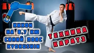 🔥 Техника Каратэ на Синий Пояс 7,8 Кю | Kihon Shinkenkai Kyokushinkai Karate Vietnam Dojo Osu!