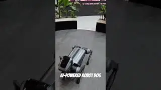 AI-powered Robot Dog can give you paw and climb stairs #robots #ai