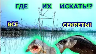 Где искать и ловить рыбу? Об этом молчат все рыбаки!