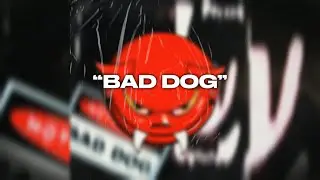 BAD DOG - HOTCALLER
