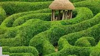Поль Мориа 