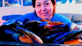 Having some mussels with story